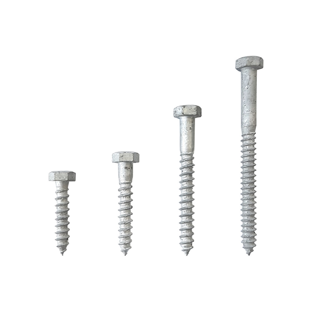 Coach Screws